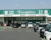 エバーグリーン