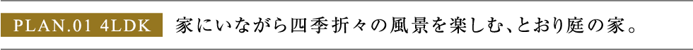 家にいながら四季折々の風景を楽しむ、とおり庭の家。